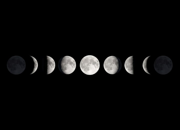 The moon phases