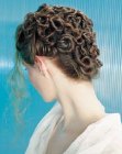 elegant up-style