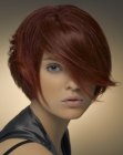 circle hairstyle