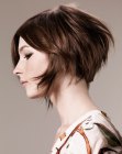 clippy haircut