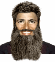 long beard