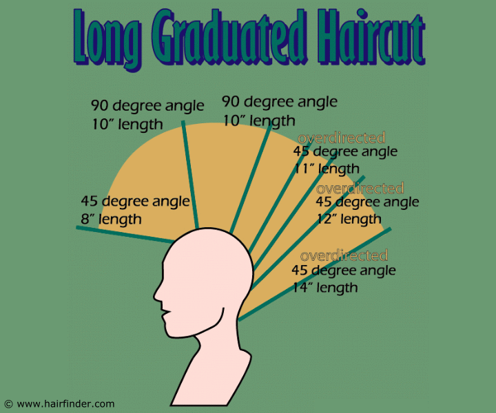 How to cut a long graduated haircut