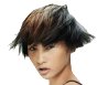 Asian cuts