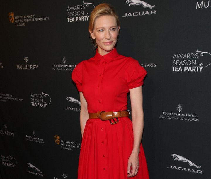 Cate Blanchett | Updo with a bun and a retro dress with buttoned up collar