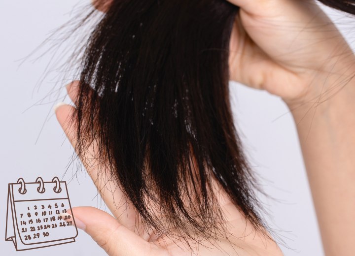 Haare, die im Laufe der Zeit gesch&auml;digt werden