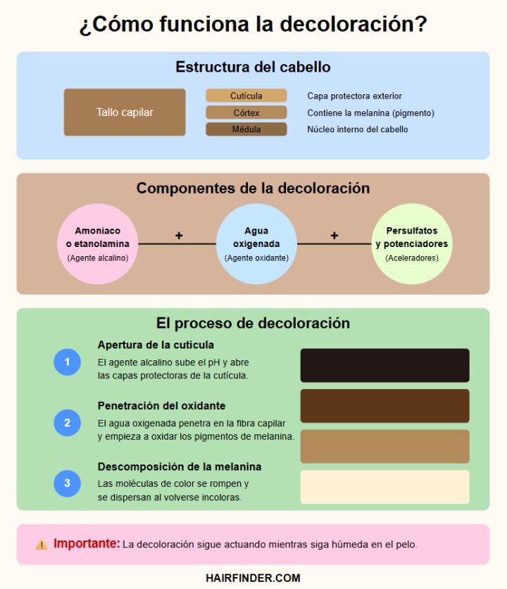 Infograf&iacute;a &mdash; C&oacute;mo funciona la decoloraci&oacute;n