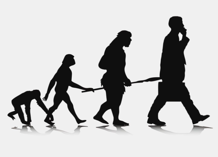 Evolución humana