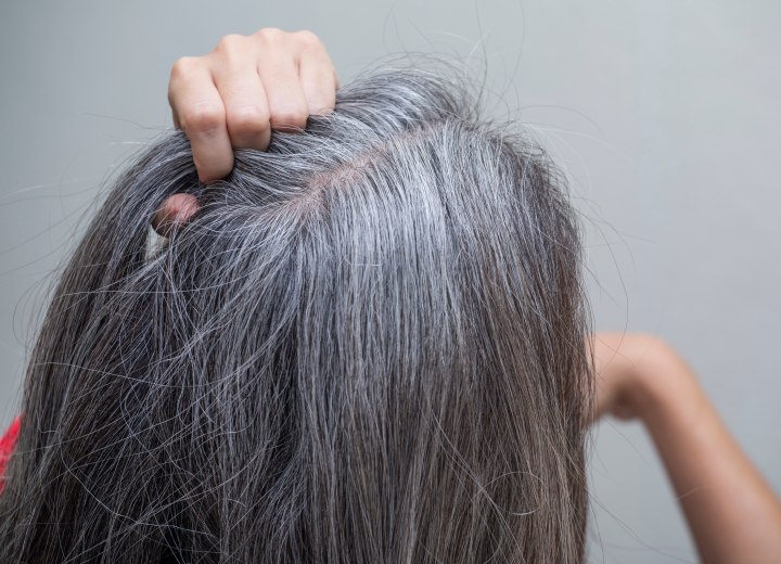 Cheveux gris résistants à la couleur