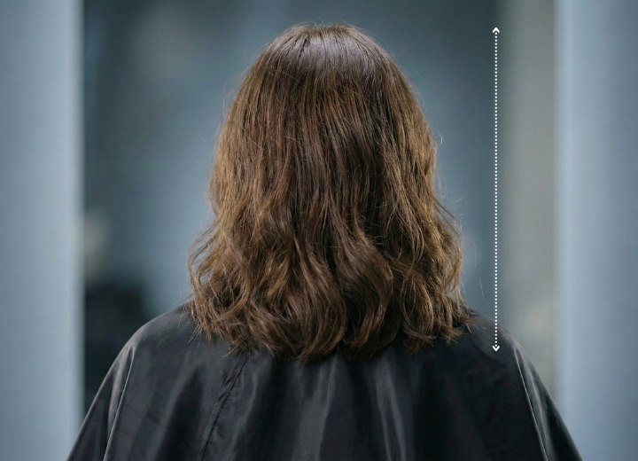 Cheveux secs, avec r&eacute;traction par rapport aux cheveux mouill&eacute;s