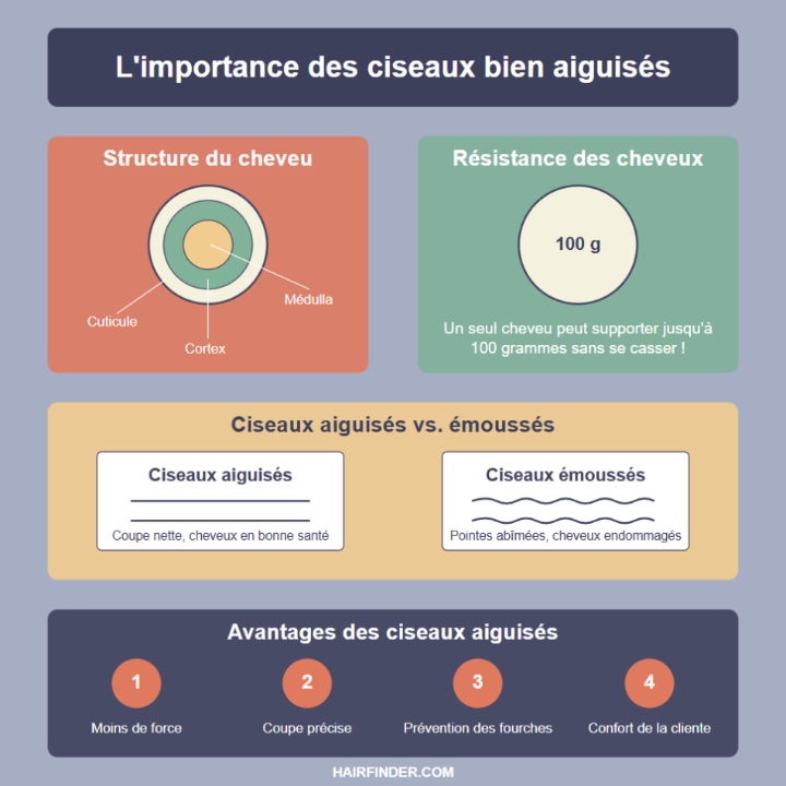 Infographie - Pourquoi les ciseaux de coiffure doivent être bien aiguisés