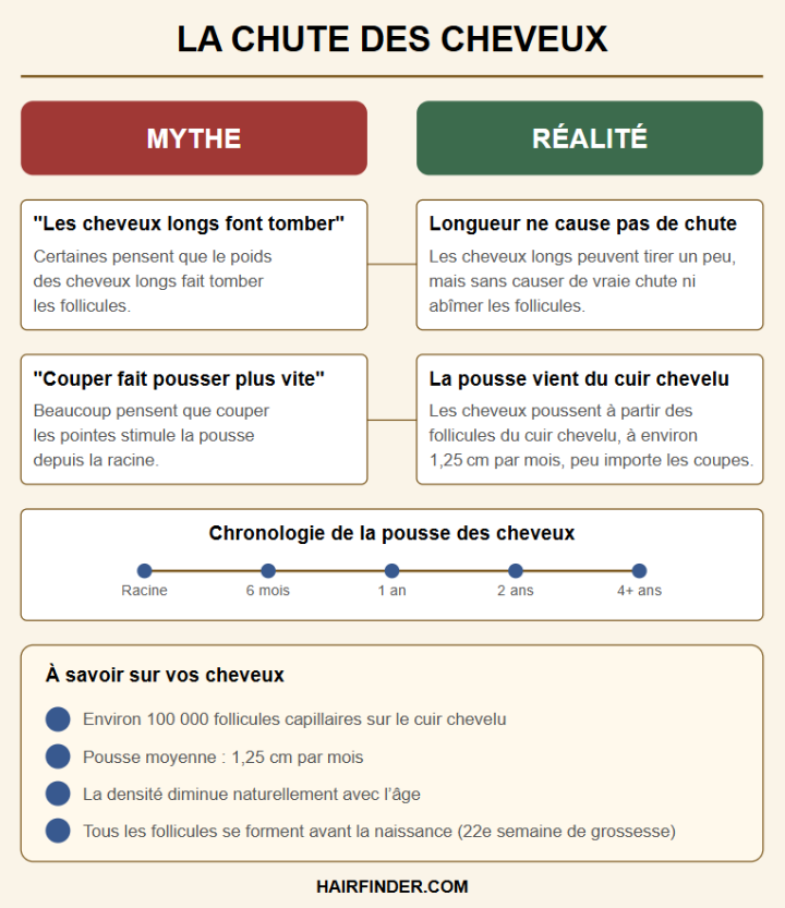 Mythes et réalités sur la chute des cheveux