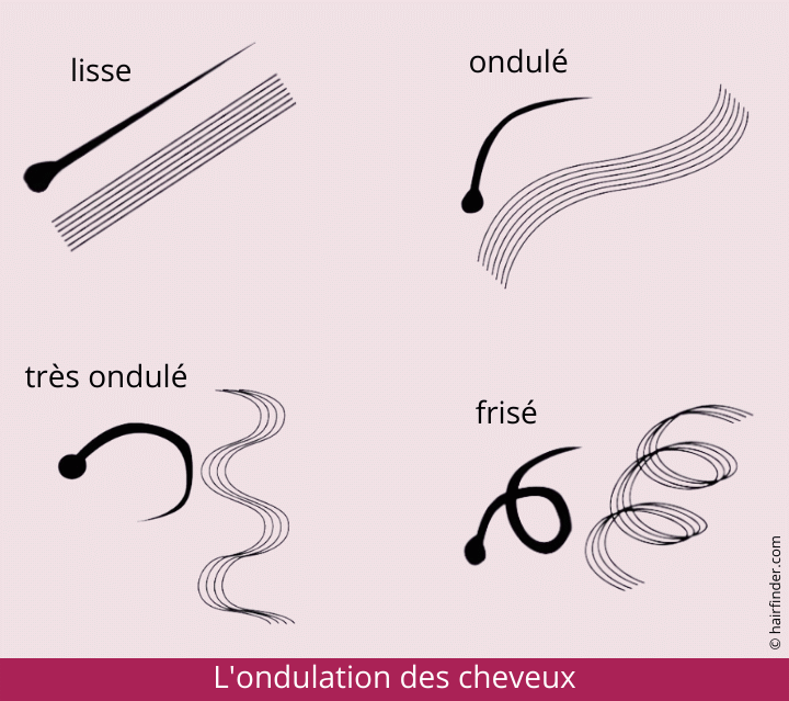 L'ondulation des cheveux