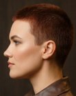 Cheveux tr&egrave;s courts &agrave; longueur uniforme