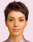 Coupe courte brune