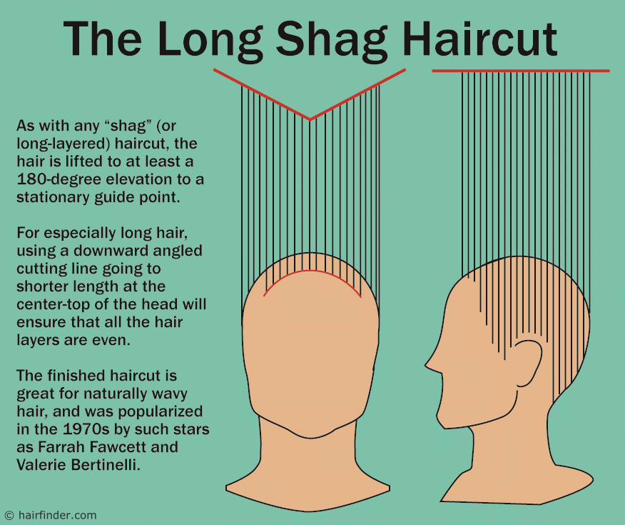 haircutting diagram