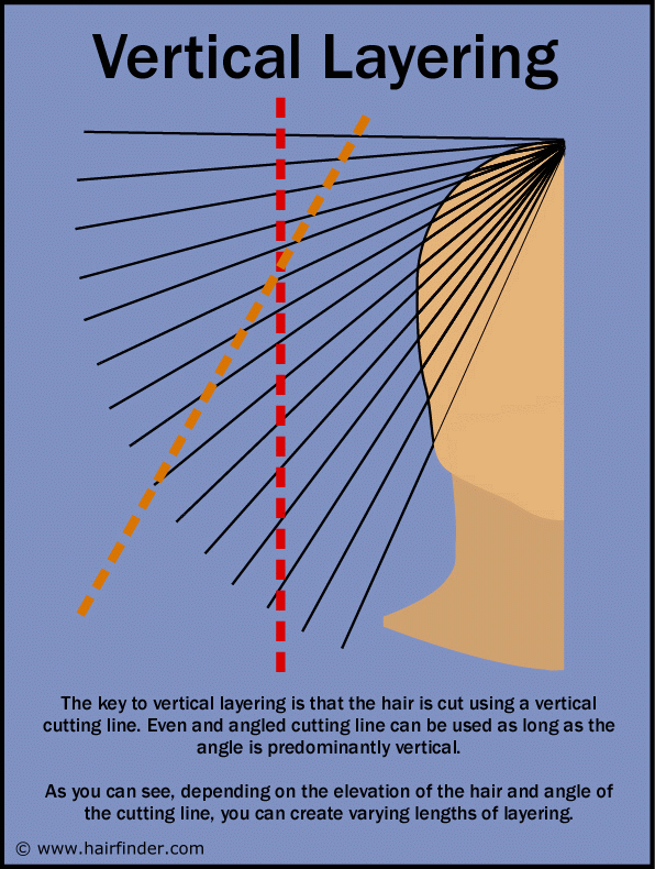 layered haircut diagram