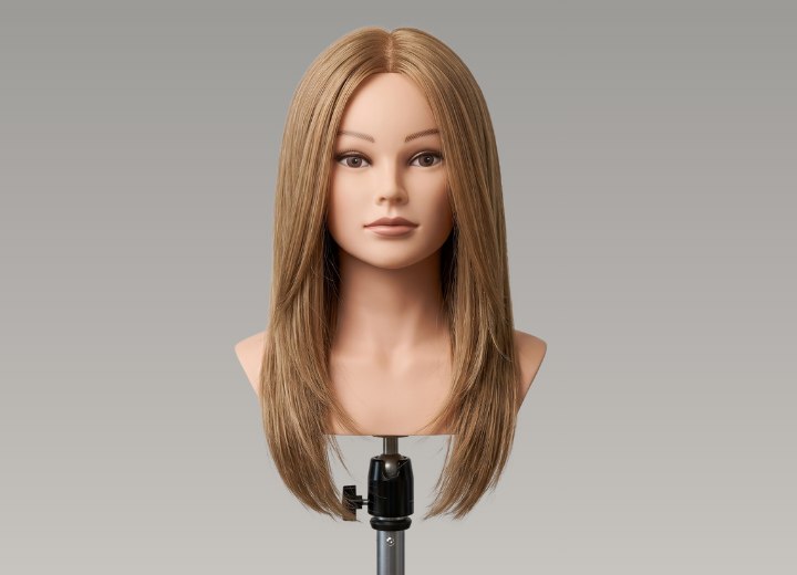Long hairstyle with layers