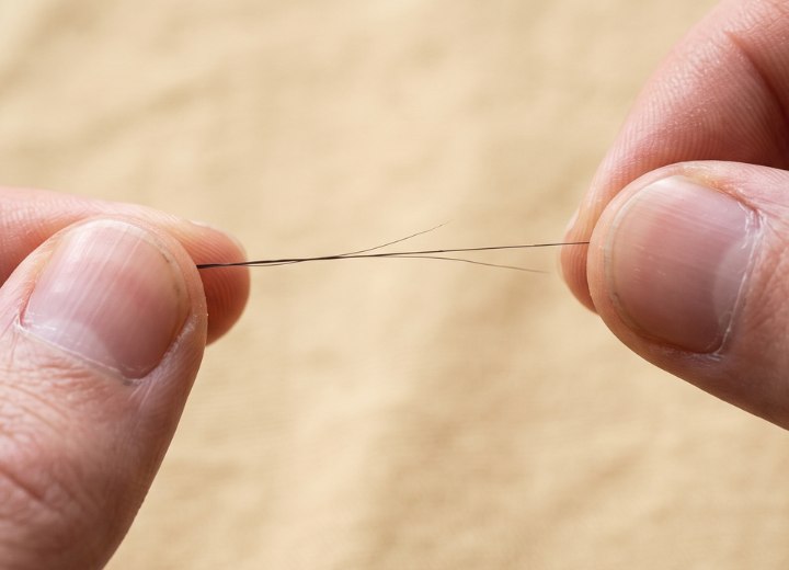 Hair that breaks due to a lack of elasticity