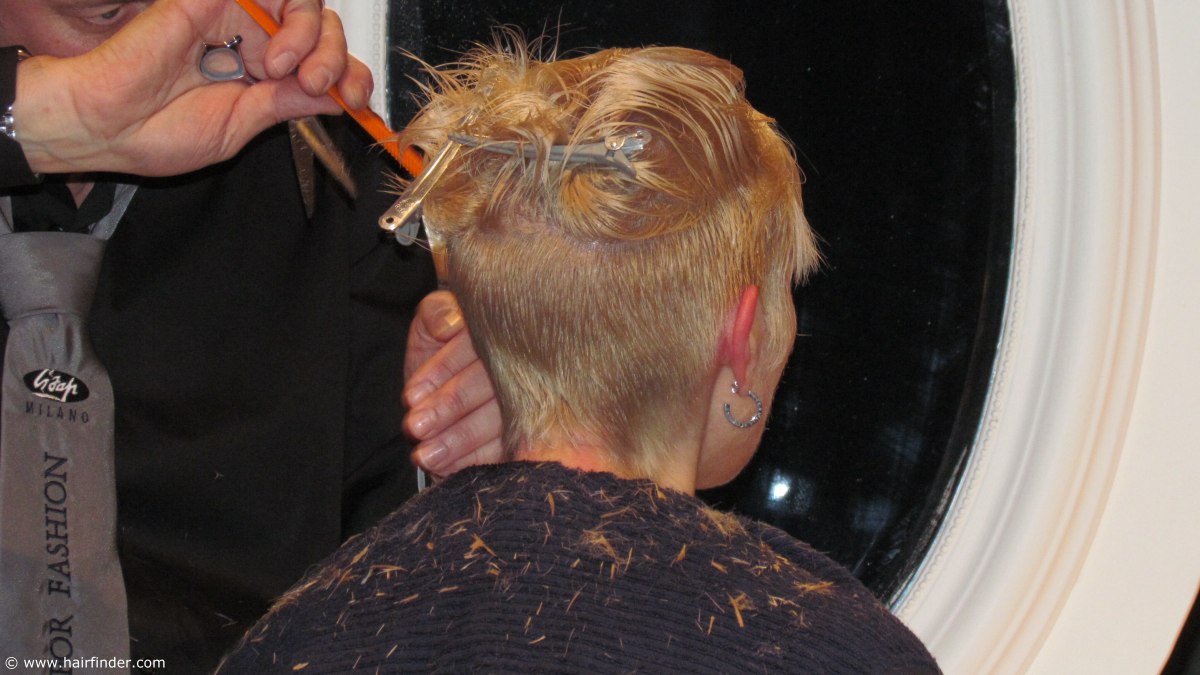 when using clippers should hair be wet