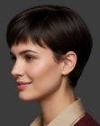 Pixie cut with mircro bangs