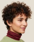 Short curly hairstyle