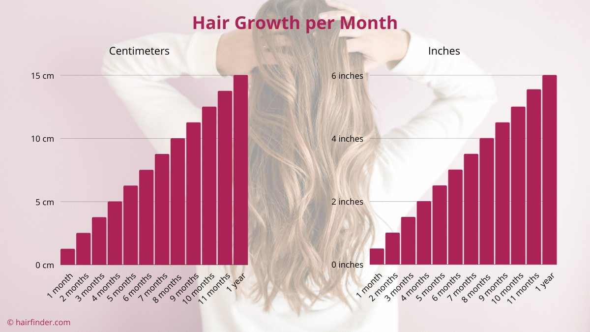 How fast does hair grow? Hair growth per month