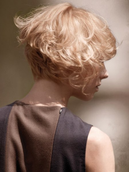inverted bob back view curly