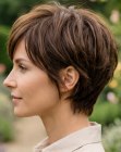 Elegant short hair