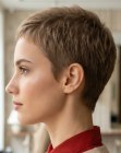 Short hairstyle that leaves the ears exposed