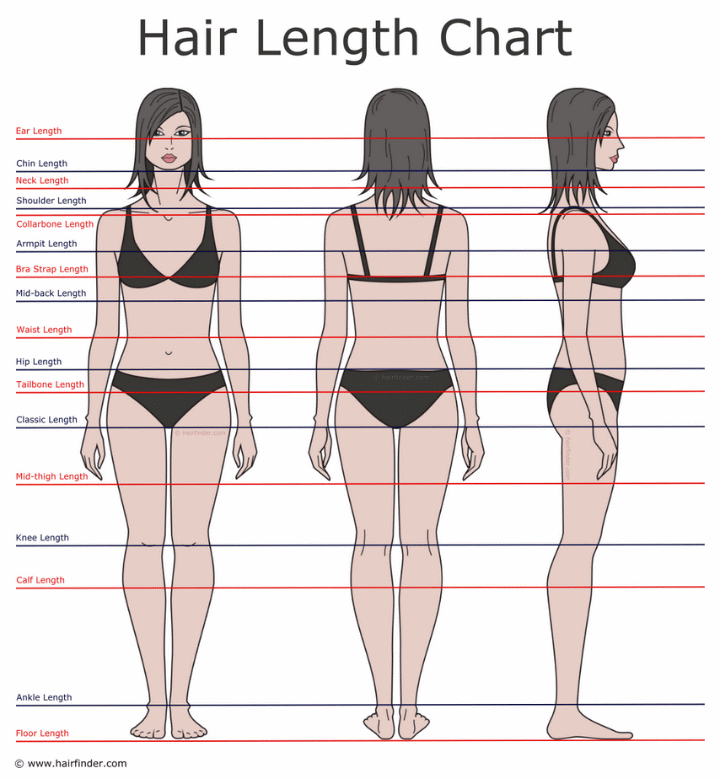 How to describe hair lengths Hair length chart and the difinitions
