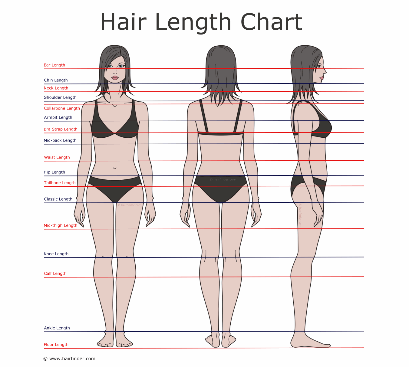 Descriptions of hair lengths and growing times