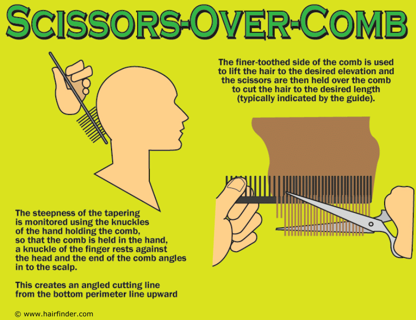 Tapering Hair With The Scissor Over Comb Cutting Technique