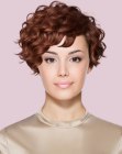 Curly pixie-bob